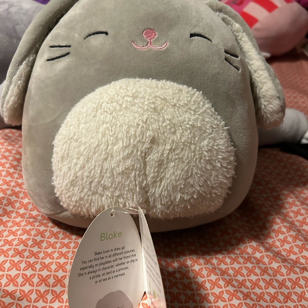 Squishmallows Gray and Cream Plush
